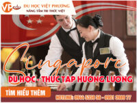 Chương trình thực tập hưởng lương khi du học Singapore
