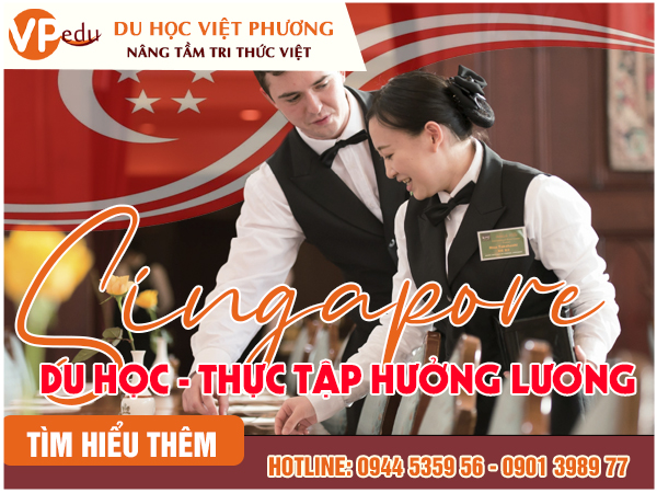 Du học Singapore chương trình thực tập hưởng lương