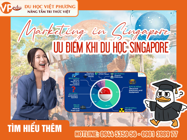 Du học ngành marketing ở Singapore