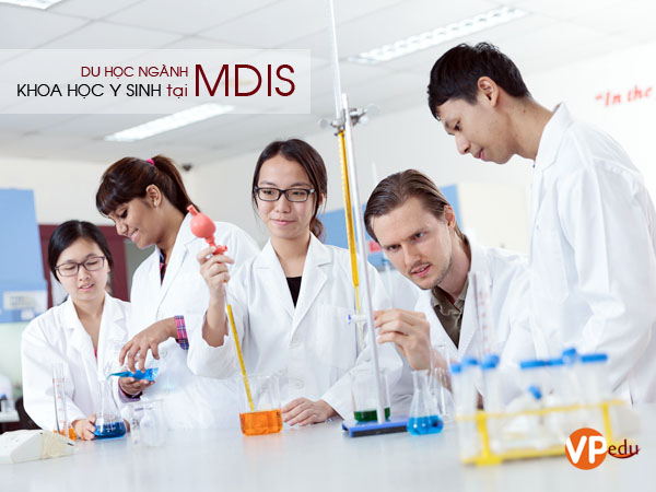 Du học ngành khoa học Y Sinh tại Học viện MDIS Singapore