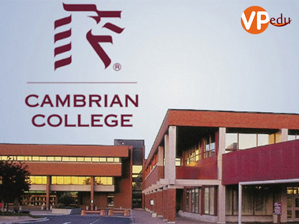 Trường cao đẳng Cambrian mang đến môi trường học tập tốt nhất cho sinh viên