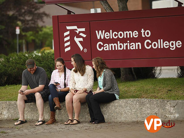 Giao lưu kết bạn và cùng nhau học tập tại đại học Cambrian