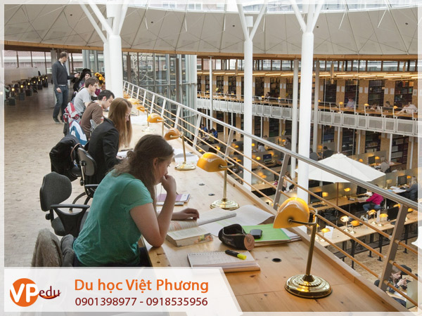 Thư viện Hà Lan là môi trường học tập lý tưởng cho sinh viên