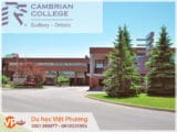 Trường cao đẳng Cambrian College