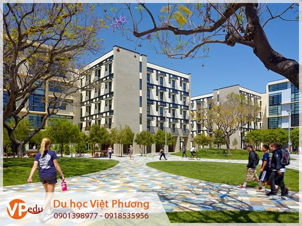 Trường California State University Stanislaus cung cấp chương trình học hữu ích