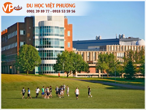 Trường Brandeis University - Boston