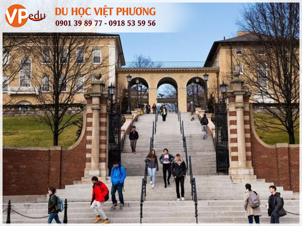 Tufts University - trường đại học ở Boston, Mỹ mà du học sinh quốc tế luôn mơ ước