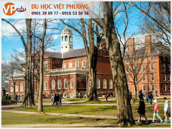 Đại học Harvard là điểm du học mơ ước của hàng triệu sinh viên quốc tế