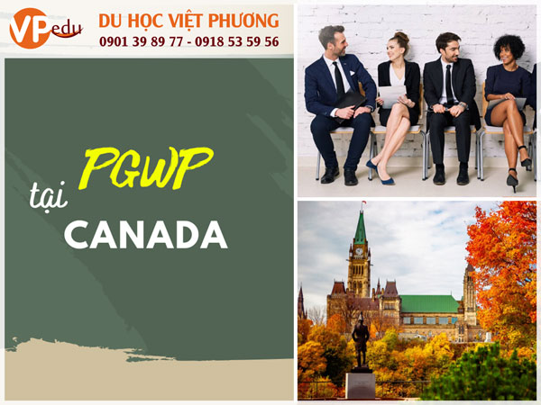 PGWP cho phép du học sinh dễ tìm việc tại Canada