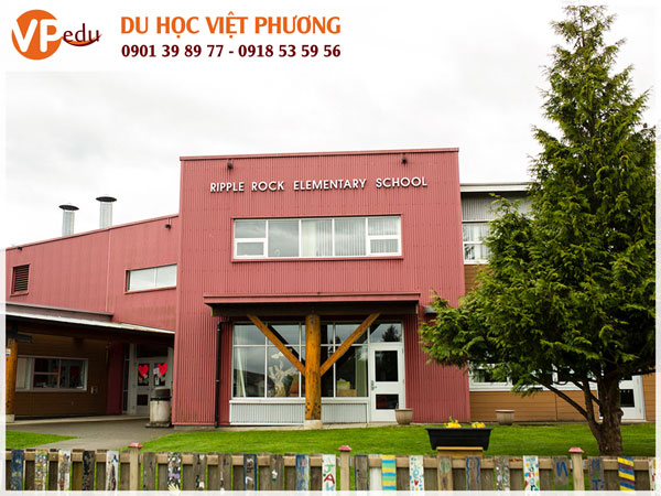 Ripple Rock Elementary School: Một trường thành viên trong hệ thống