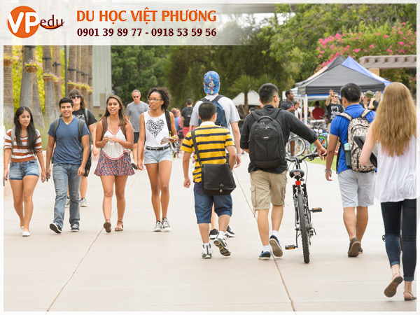 Arizona State University - Điểm du học lý tưởng dành cho sinh viên quốc tế