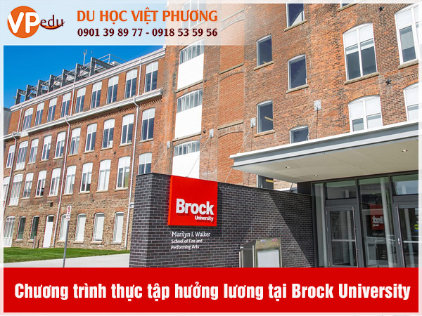 Chương trình thực tập hưởng lương tại Brock University luôn thu hút sinh viên quốc tế