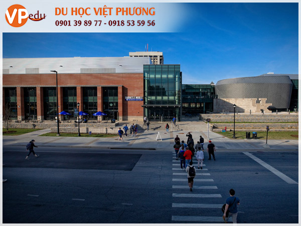 Trường University of Kentucky, Mỹ: Điểm đến du học lý tưởng của sinh viên quốc tế