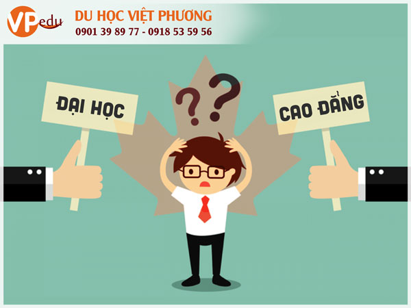 Nên học cao đẳng hay đại học ở Canada?