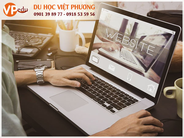 Thiết kế website là việc làm công nghệ thông tin phổ biến