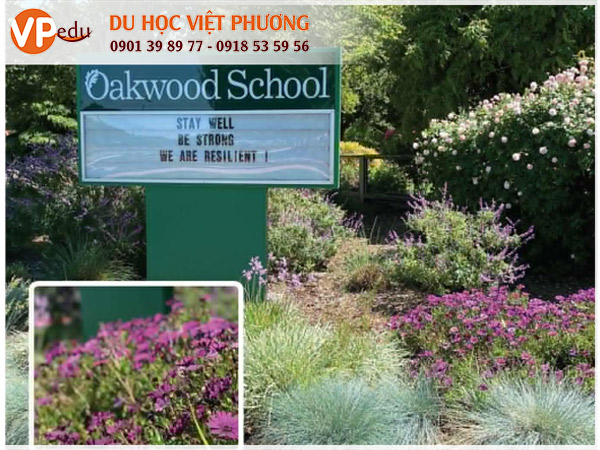 Trường trung học Oakwood School, Mỹ