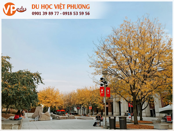 Cuộc sống tại University of Nebraska Lincoln