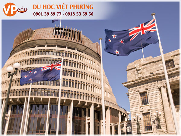 Công ty tư vấn du học New Zealand nào là uy tín ở TPHCM?