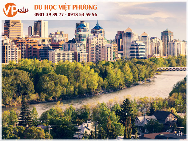 Du học Alberta Canada giúp bạn dễ định cư