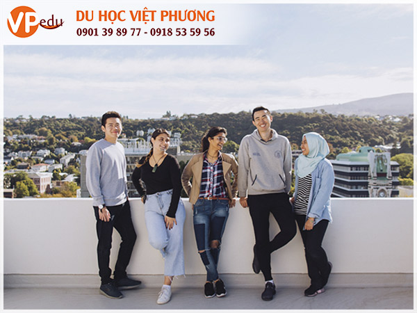 Cùng du học Việt Phương - Săn học bổng du học New Zealand ngay nào!