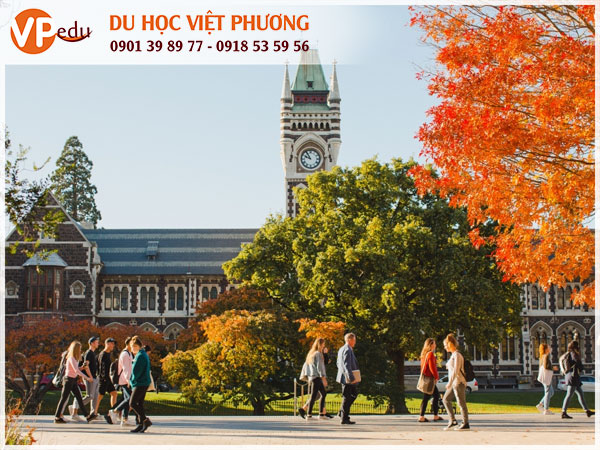 Chi phí du học New Zealand - Mọi điều sinh viên cần biết