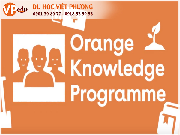 Học bổng du học Hà Lan: Orange Knowledge Programme