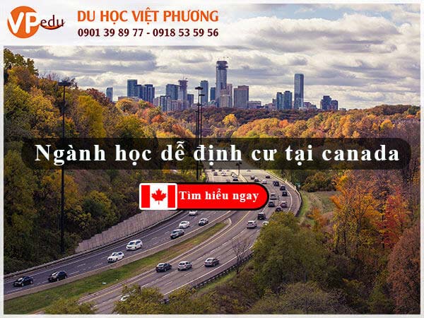 Đi du học Canada nên học ngành gì để mang đến cơ hội định cư cao nhất. Tìm hiểu ngay