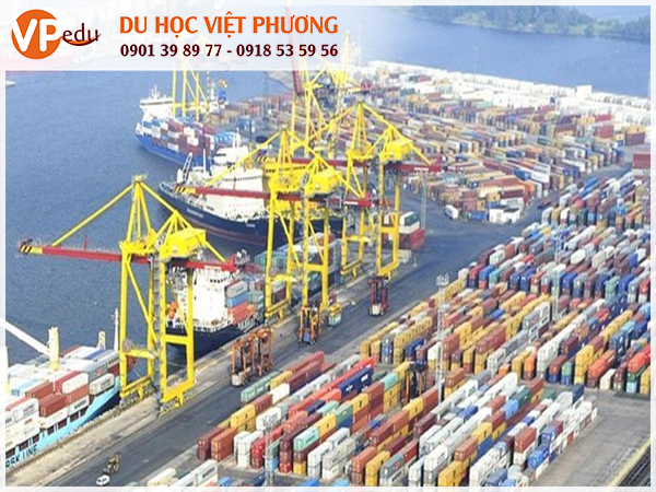 Du học Hà Lan ngành quản trị Logistics sẽ có cơ hội trải nghiệm thực tế khi đến tham quan, thực tập tại tàu biển và cảng biển, tiếp xúc với các chủ tàu, lãnh đạo doanh nghiệp hàng hải