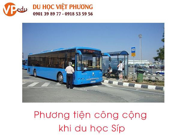 Phương tiện công cộng phổ biến chính là xe buýt