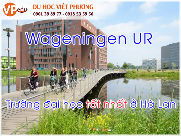 Năm 2018 Đại học Wageningen được xếp hạng là trường đại học tốt nhất ở Hà Lan về giáo dục.