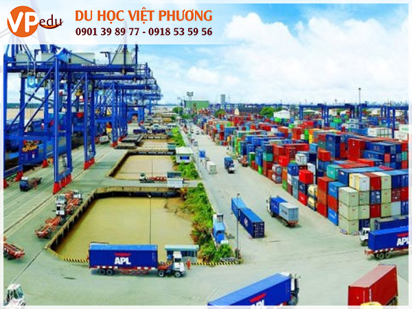 Ngành Logistic & Supply Chain với cơ hội nghề nghiệp vô cùng lớn và đa dạng