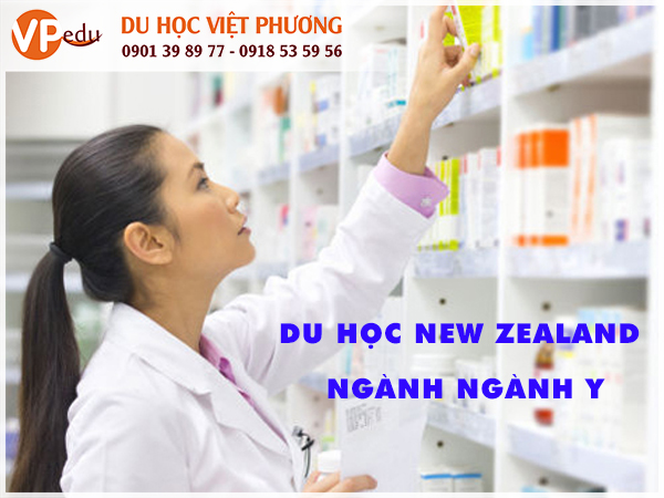 New Zealand chất lượng đạo tạo về y tế sức khỏe ở quốc gia này đạt chuẩn thế giới
