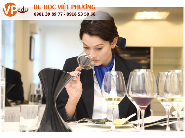 Du học Úc- Ngành quản trị khách sạn