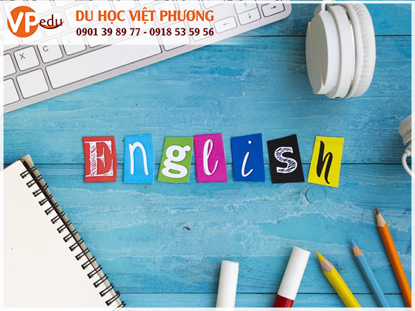 Bạn nên chuẩn bị vốn tiếng anh của mình thật tốt, cần nghiêm túc học tiếng anh càng sớm càng tốt để không bỏ lỡ các cơ hội giành cho bản thân ngay