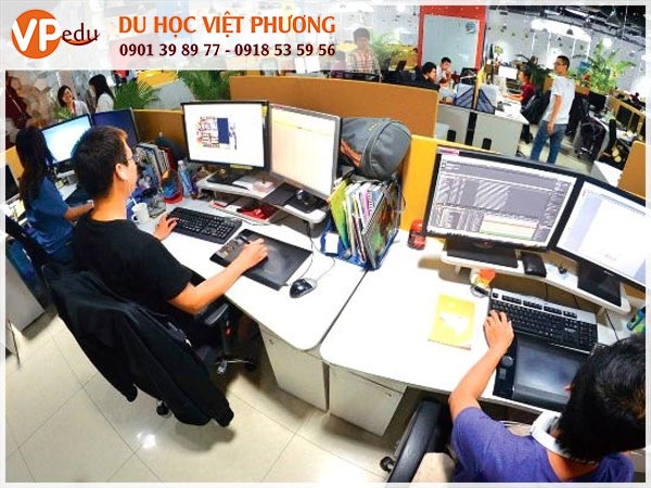 Ngành công nghệ thông tin: Cơ hội định cư ở Úc