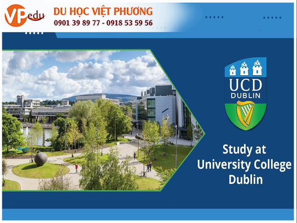 UCD là đại học hàng đầu tại Ireland được sinh viên quốc tế lựa chọn theo học