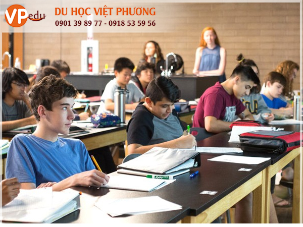 Chương trình đào tạo nổi bật tại trường đã thu hút học sinh quốc tế