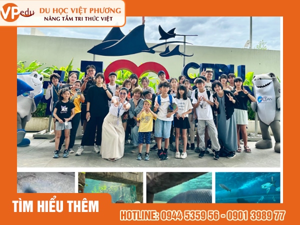 Chương trình trại hè tại Anh ngữ Winning