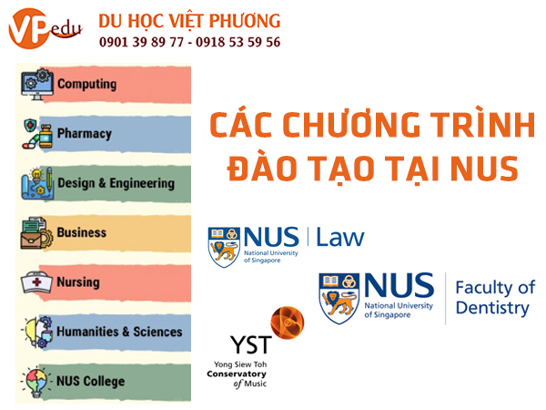 Chương trình đào tạo tại đại học quốc gia singapore