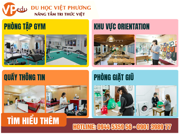Cơ sở vật chất của trường anh ngữ Pines International Academy