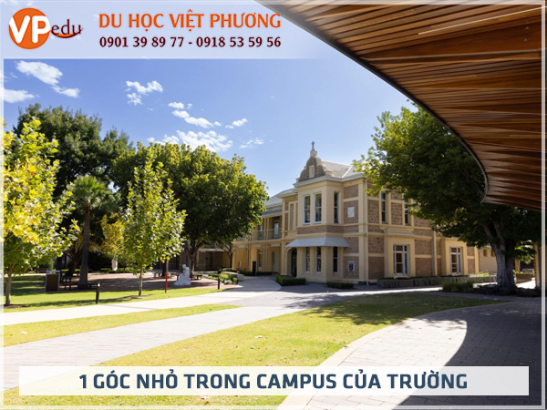 1 góc trong campus của ngôi trường thpt nam sinh này