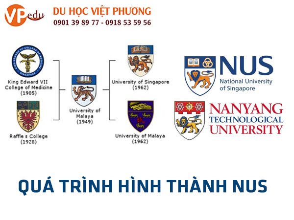 Quá trình hình thành và phát triển của Đại học Quốc Gia Singapore