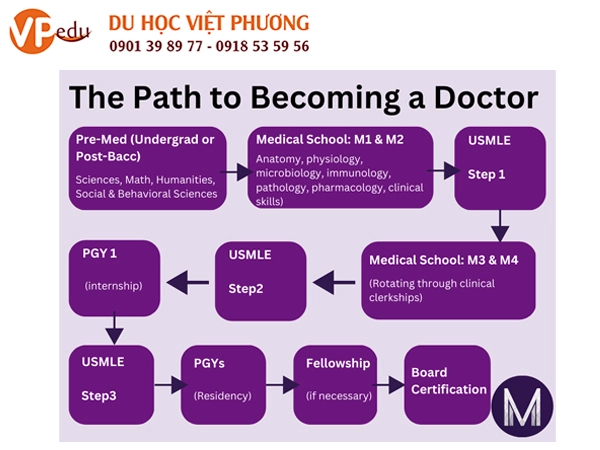 Lộ trình trở thành bác sĩ tại Mỹ - Du học Mỹ ngành Y