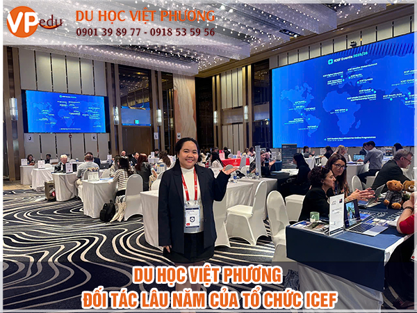 Du học Việt Phương - cty hoạt động uy tín trong thị trường Du Học Mỹ