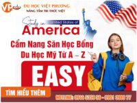 Cẩm Nang Săn Học Bổng Du Học Mỹ Từ A – Z