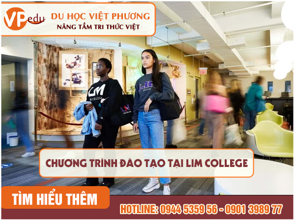 Chương trình đào tạo tại LIM College