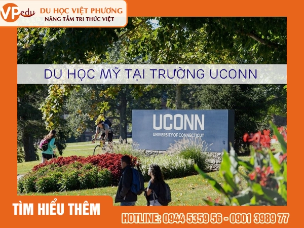 University of Connecticut 