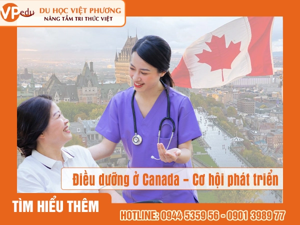 Học ngành Y Tá ở Canada - Cơ hội phát triển và định cư