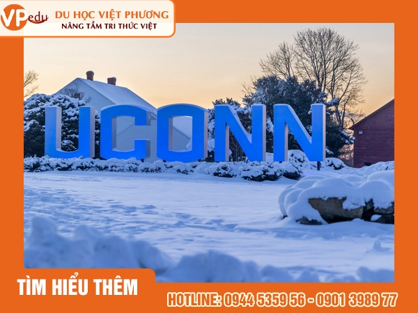 Đồng Hành Cùng Bạn Đến University of Connecticut