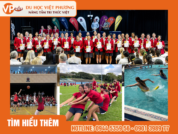 Các hoạt động ngoại khóa của trường Our Lady of the Sacred Heart